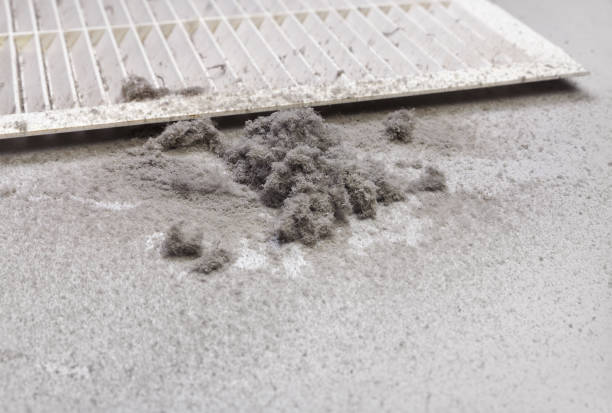 Best Air Duct Inspection  in Mira Monte, CA