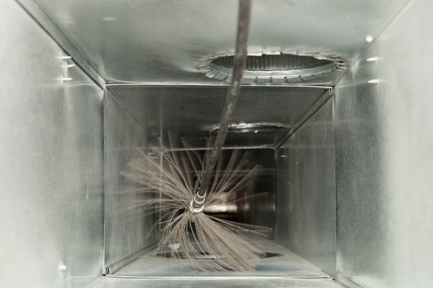 Best Air Duct Mold Removal  in Mira Monte, CA