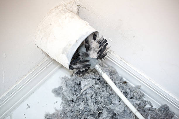 Best Duct Cleaning Specialists  in Mira Monte, CA